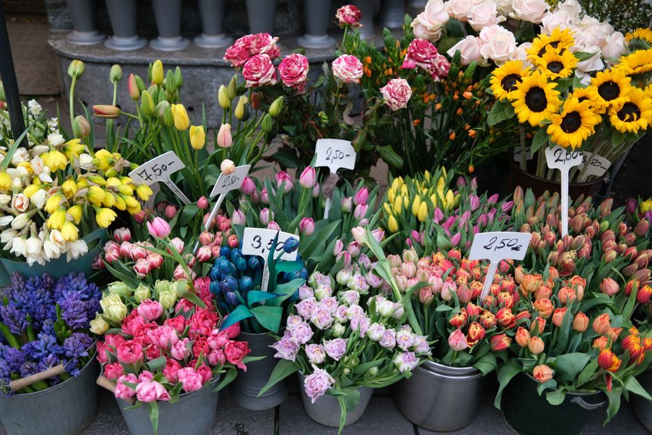 A variety of fresh floral arrangements displayed outdoors on a pavement, featuring tulips, daffodils, irises, and pink carnations in different sizes of metal and plastic pots. Bright yellow sunflowers