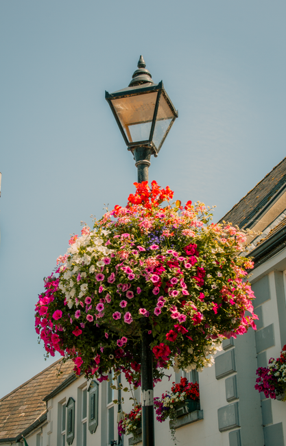 A vintage-style black metal street lamp with a glass lantern, mounted on a decorative post, is decorated with a lush, overflowing flower basket. The basket contains a vibrant mix of pink, white, purpl